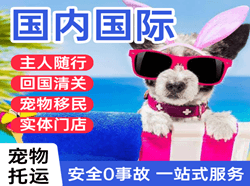 淮安涟水航空邮寄国际宠物托运 【国